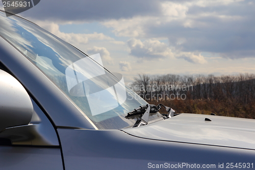 Image of Windshield of the car an wipers.