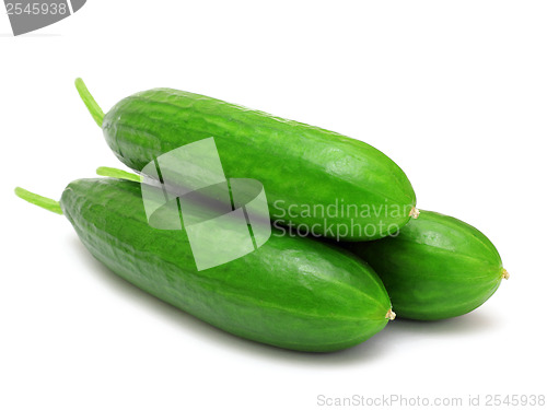 Image of fresh cucumbers isolated on white