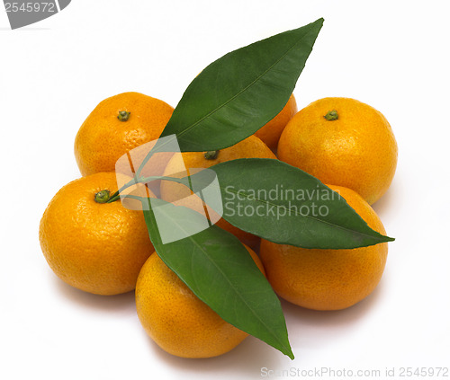 Image of Ripe tangerines or mandarin with leaf isolated on white backgrou