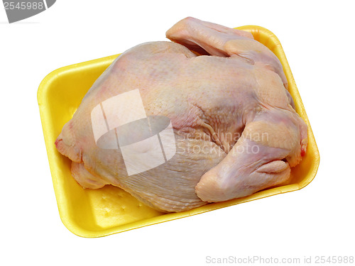 Image of hen ready to preparation on a yellow substrate