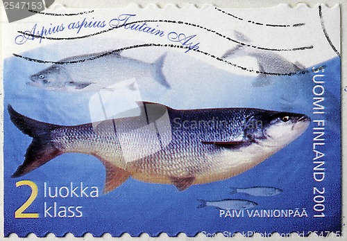 Image of Asp Fish Stamp