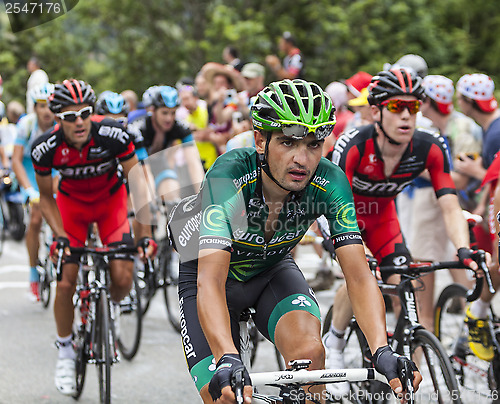 Image of Davide Malacarne Climbing Alpe D'Huez