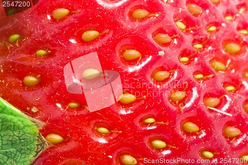 Image of Strawberry