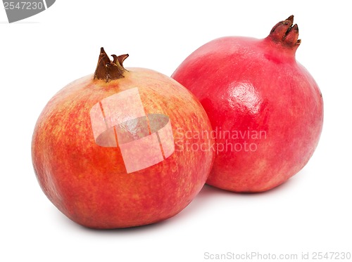 Image of Pomegranate