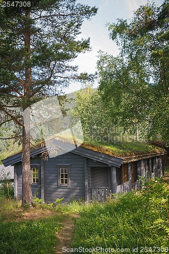 Image of Typical norwegian house with grass on the roof