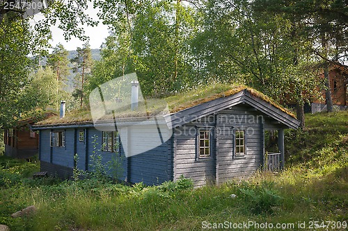 Image of Typical norwegian house with grass on the roof