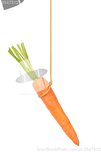 Image of Carrot on String