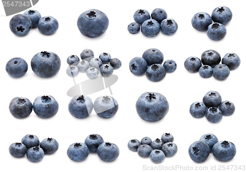 Image of Blueberry set