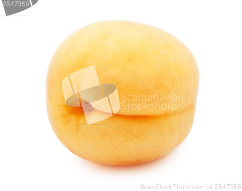 Image of Apricot