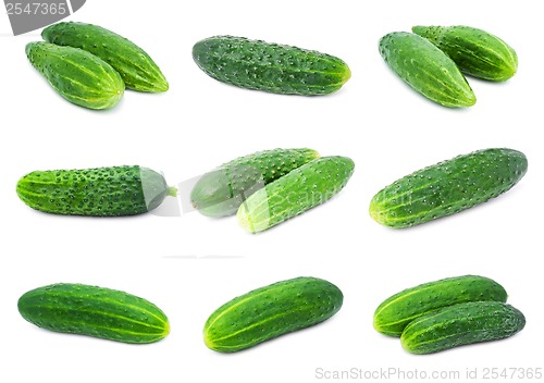 Image of Cucumbers