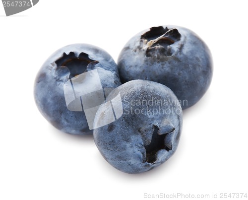 Image of Blueberry