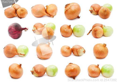 Image of Onion