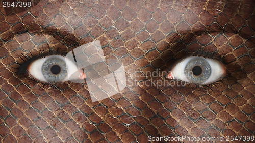 Image of Women eye, close-up