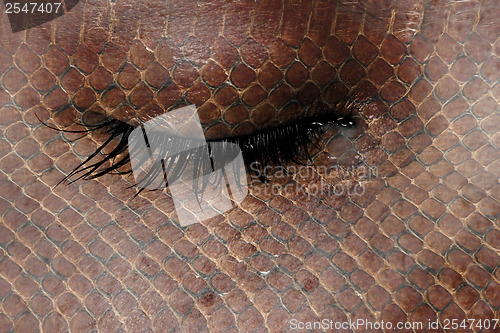 Image of Women eye, close-up