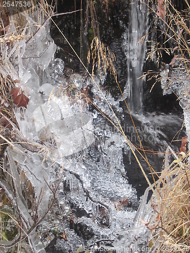 Image of Natures own ice art