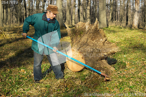 Image of October. Elderly worker running in the park