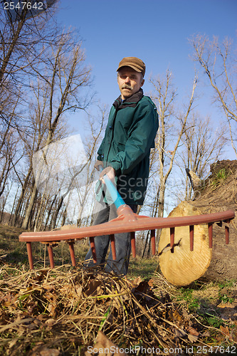 Image of Elderly worker running in the park