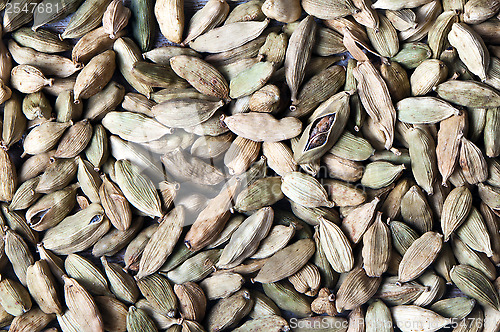 Image of Green cardamom pods (or cardamon)