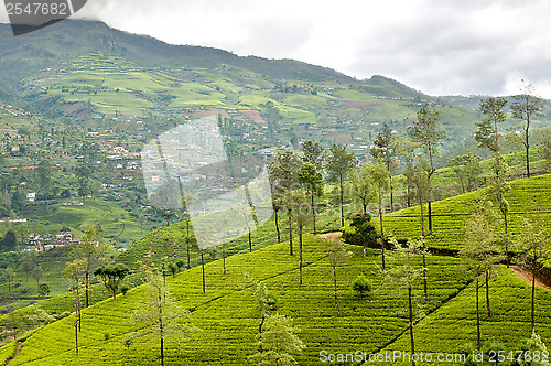 Image of Mountainous terrain of Sri Lanka