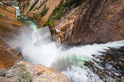 Image of The famous Lower Falls in Yellowstone National Park