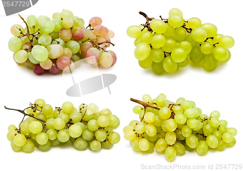 Image of Grapes