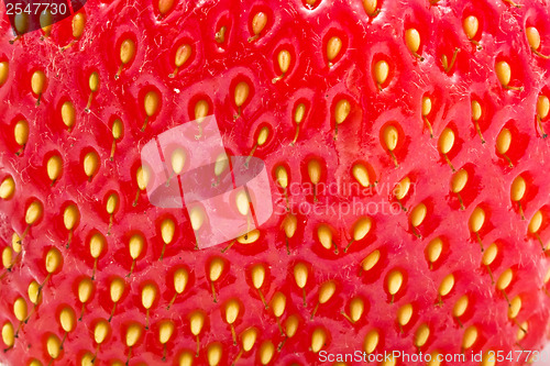 Image of Strawberry
