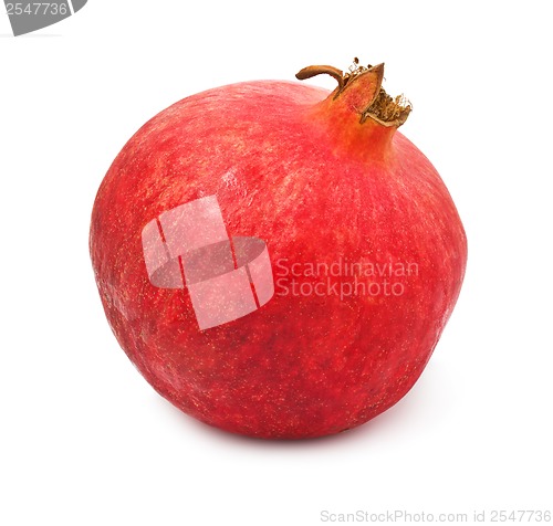 Image of Pomegranate
