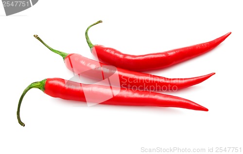 Image of Hot chili pepper