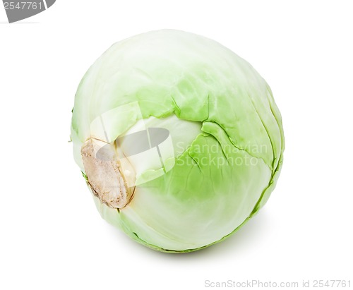 Image of Cabbage