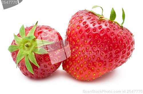 Image of Strawberry