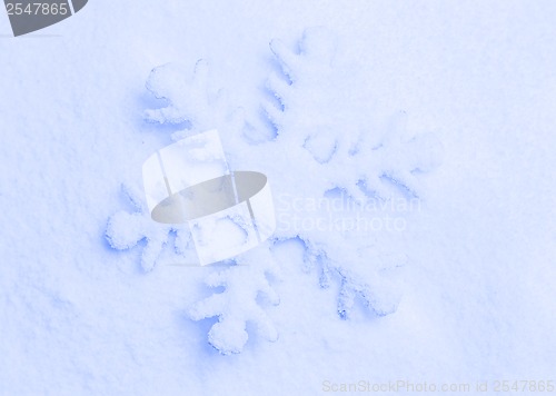 Image of Snowflake on the snow.