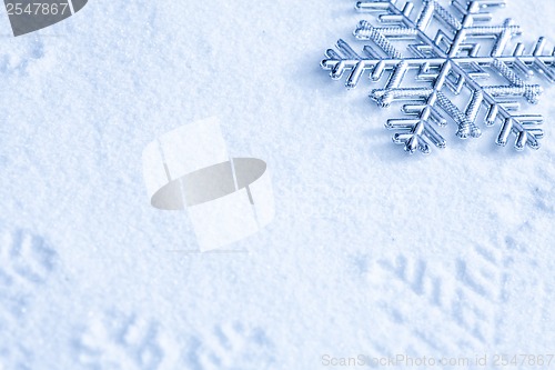 Image of Snowflake on the snow.