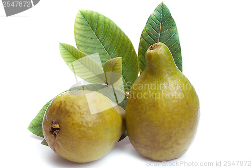 Image of Fresh Guava fruit with leaves on white background