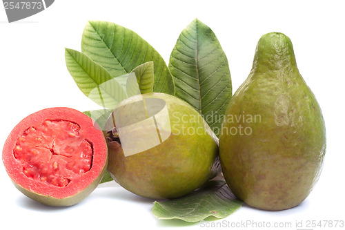 Image of Fresh Guava fruit with leaves on white background 