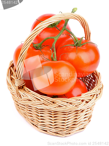 Image of Ripe Tomatoes