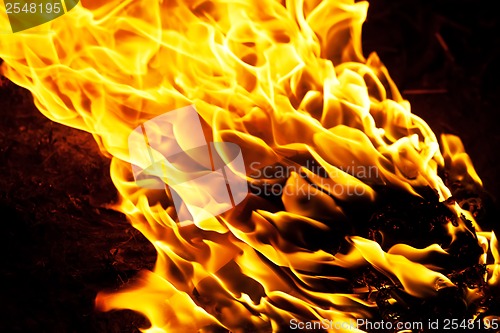 Image of Fire