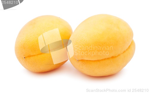 Image of Apricots