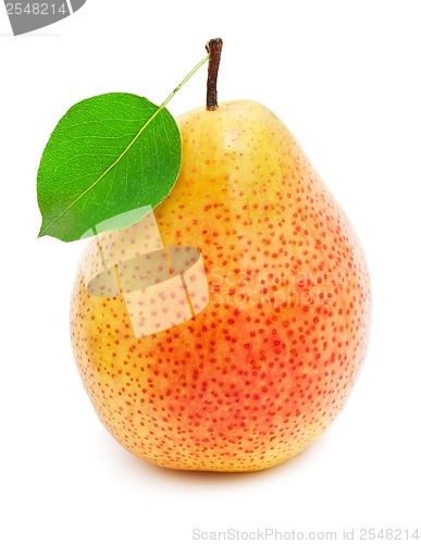 Image of Pear