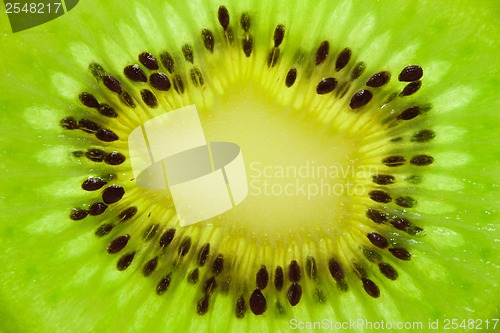 Image of Kiwi