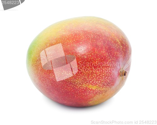 Image of Mango