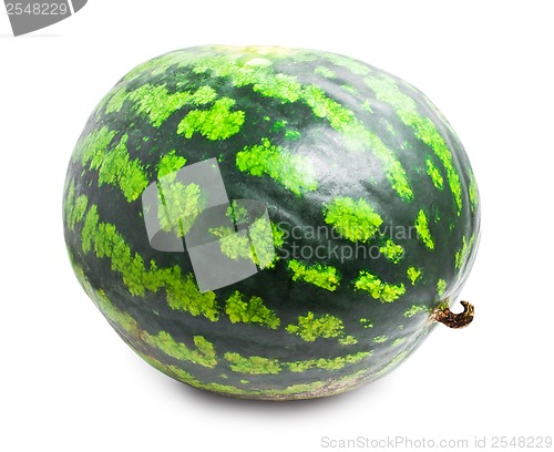 Image of Watermelon