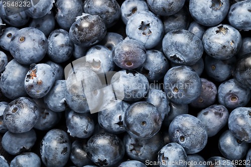 Image of Blueberries