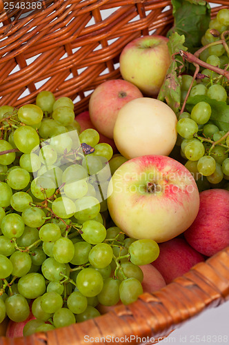 Image of apples and grapes