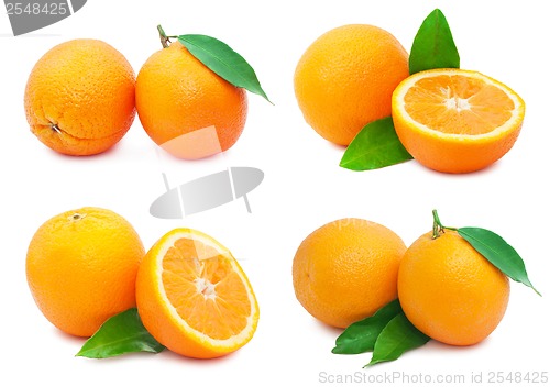 Image of Oranges