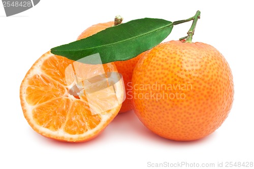 Image of Tangerines