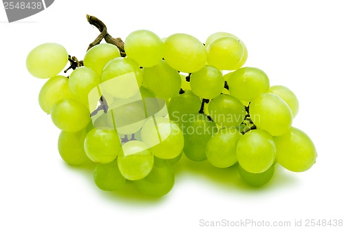 Image of Grapes