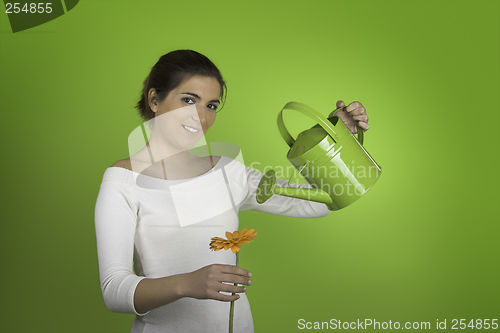 Image of Watering a flower