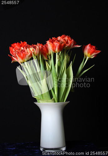 Image of Red tulips in a vase