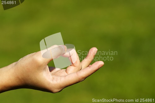 Image of Zen hand