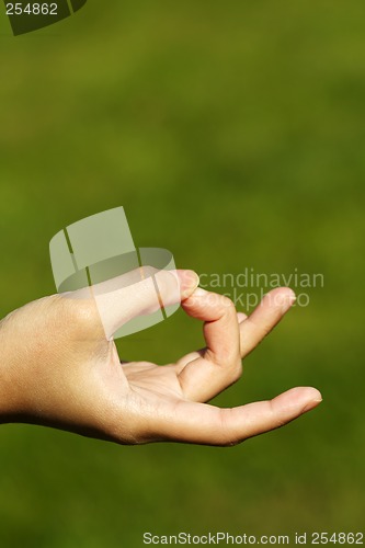 Image of Zen hand